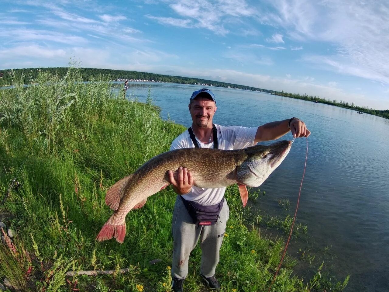 Самый большой оби. Река Обь рыбалка. Рыбалка на Оби Новосибирск. Щука на Оби. Улов щуки.