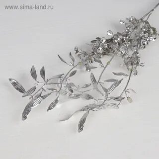 Ветвь 30