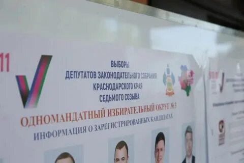 Голосование краснодар