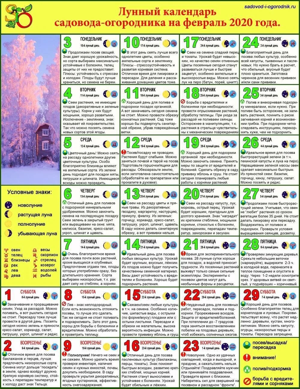 В какие дни нельзя сажать. Календарь садовода. Лунный календарь огородника. Посевной календарь садовода и огородника. Блуонныйкаоенларь на февраль.