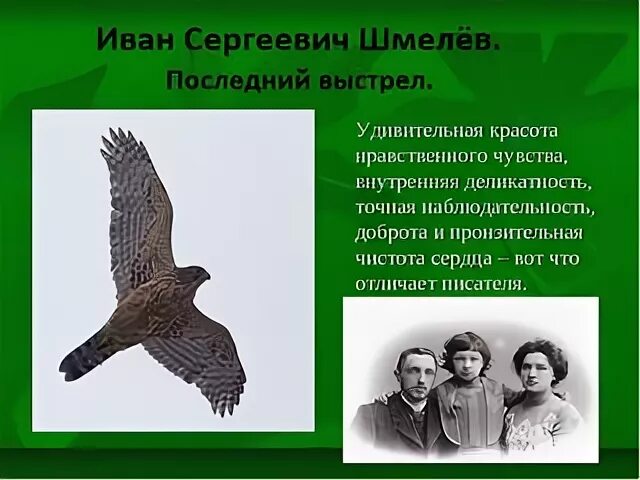 Произведение шмелева последний выстрел. Шмелев последний выстрел читать. рассказ последний выстрел.