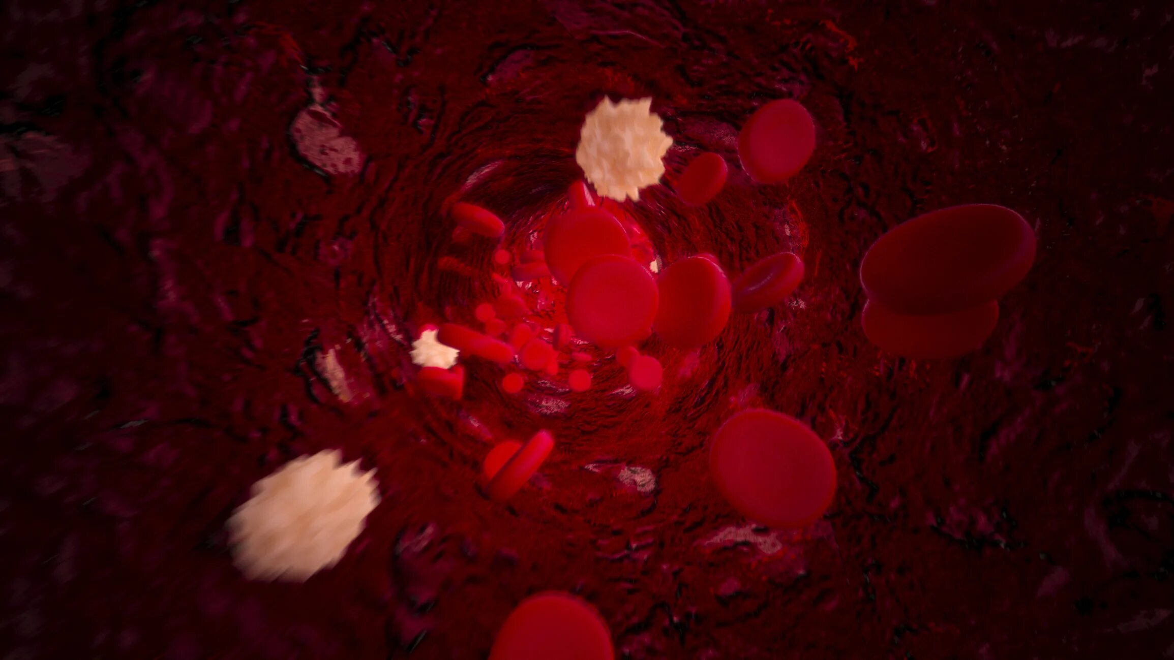 Ярко красный цвет крови является признаком. Фото эритроцитов крови.