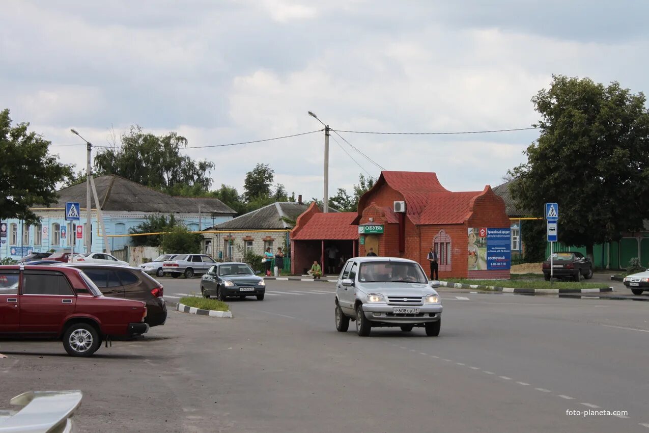 Прогноз погоды в волоконовке белгородской. Волоконовка Белгород. Волоконовка Белгородская область Зоомир. Волоконовка рынок. Слобода Волоконовка Белгородская.