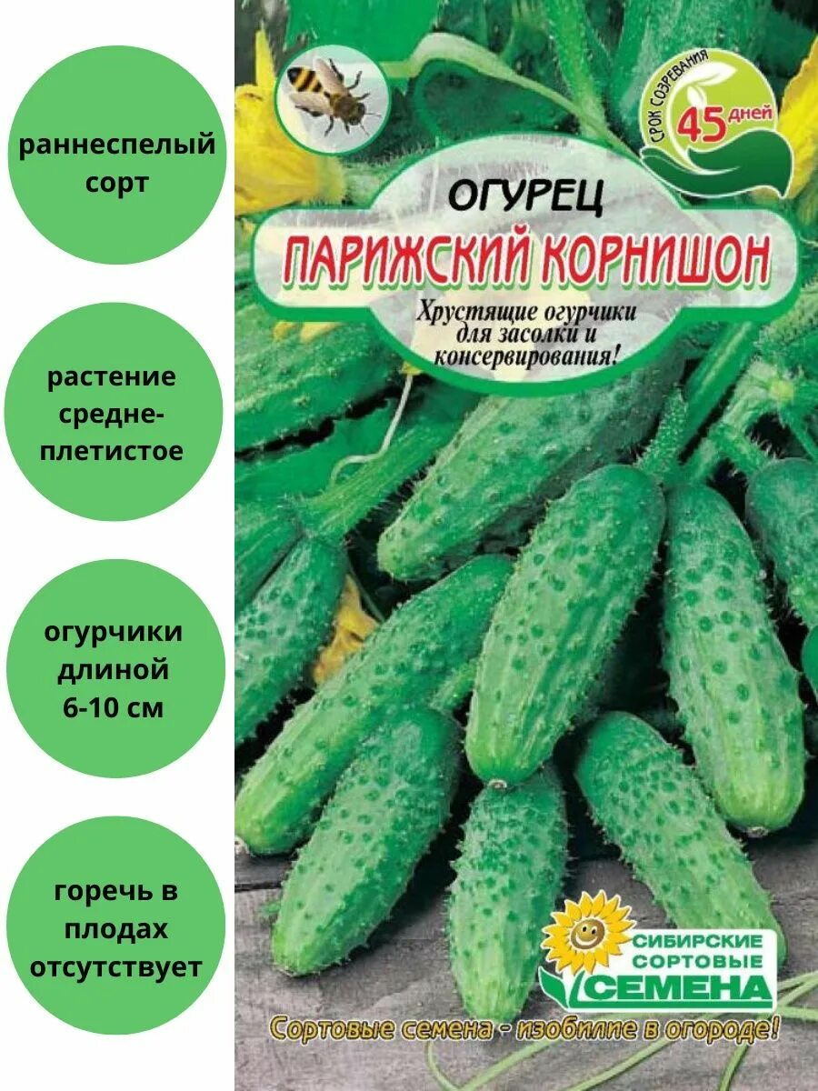 Семена огурец Парижский корнишон. Сорт огурцов Парижский корнишон. Семена Парижский корнишон. Огурец Дальневосточный Парижский корнишон. Огурцы парижский корнишон отзывы фото