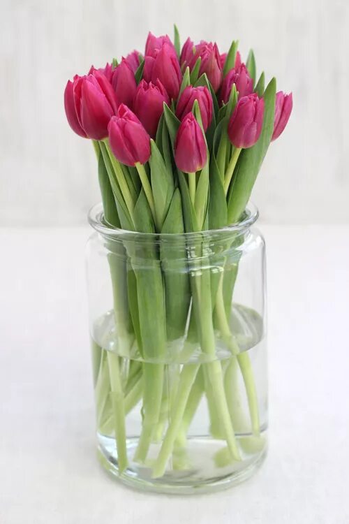 Сколько стоят в вазе тюльпаны с водой. Тюльпаны в стеклянной вазе. Тюльпаны в вазе. Тюльпаны в прозрачной вазе. Тюльпаны в стакане.