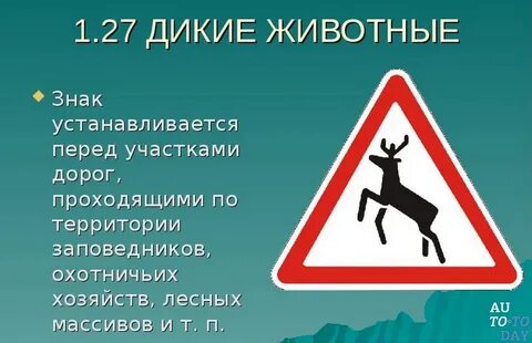 Дикий объяснение