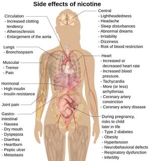 Side Effects Ana.