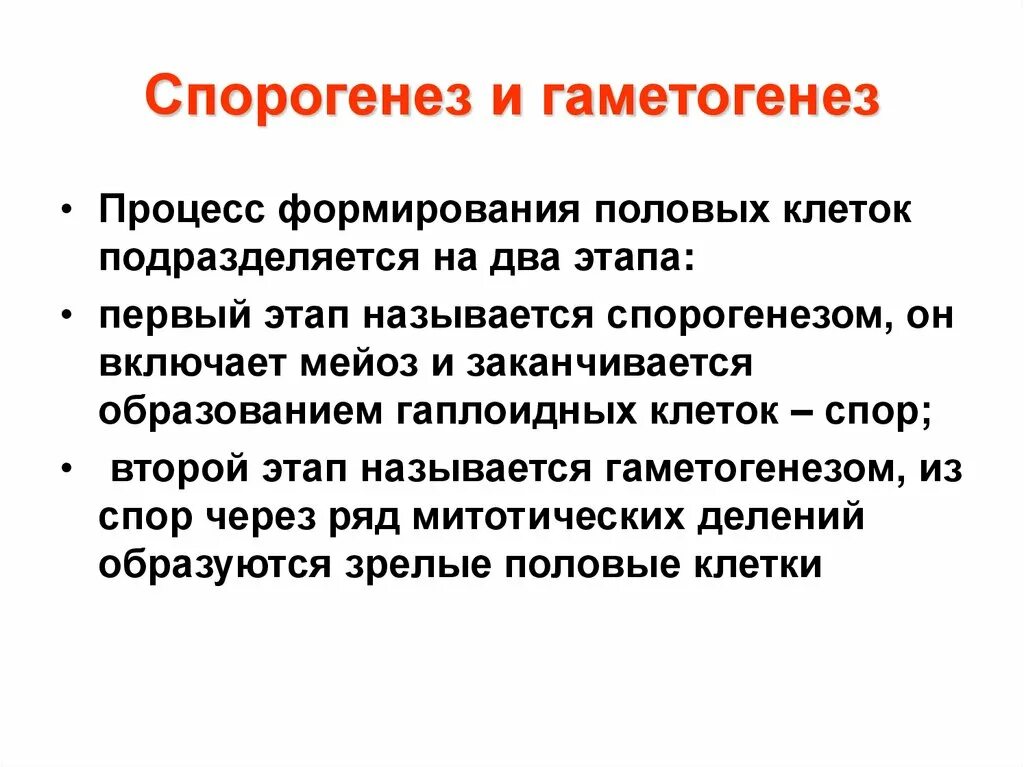 Процесс спорогенеза и гаметогенеза у растений. Спорогенез и гаметогенез. Спорогенез и гаметогенез у растений. Гаметогенез у цветковых растений. Макроспора это