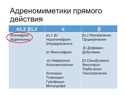 Механизм действия адреномиметиков