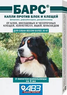 Средство от клещей для собак барс отзывы