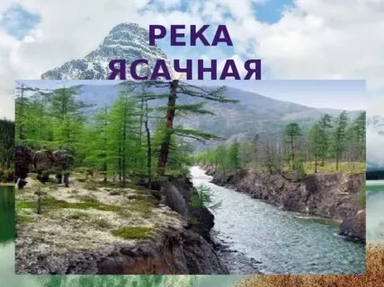 Речки род