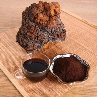 Chaga