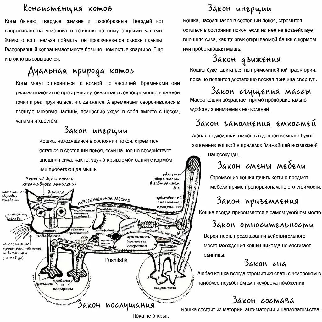 Действия кота если сема вопит. Принципиальная схема кота. Схема котэ. Схема устройства котика. Принципиальная схема котэ.