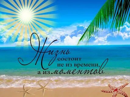Жизнь состояла из лета