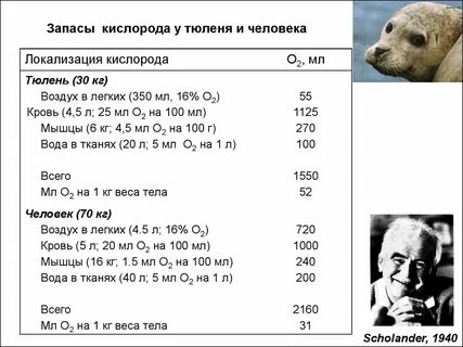 Запас кислорода