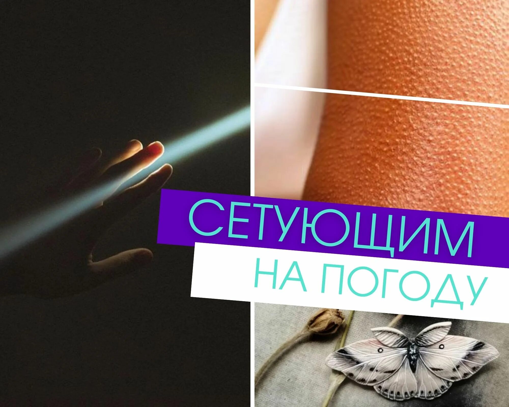 Сетовать на жизнь. Посетовала значение. Неповторимой женщине. Не жалуйтесь на жизнь. Сетовать на другого.