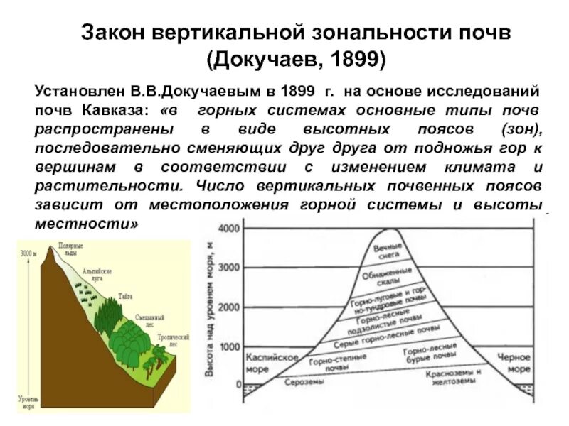 Высотная поясность это смена природных зон