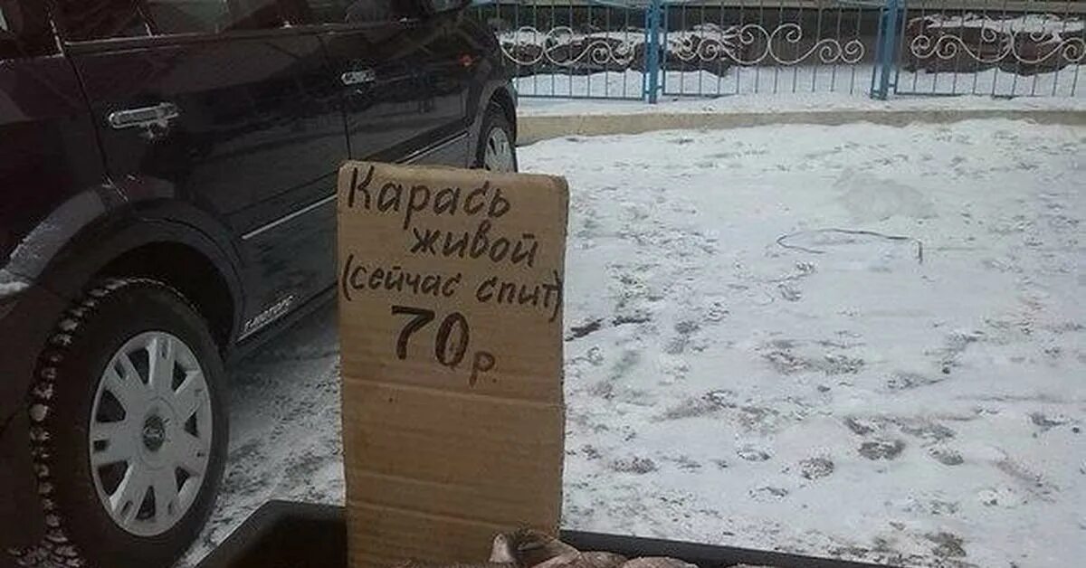 Спящий карась.