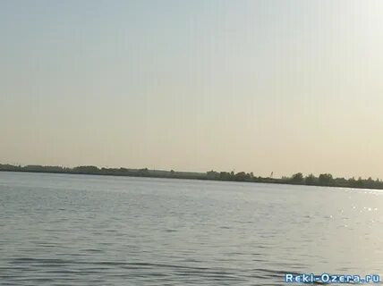 Камышное курганская