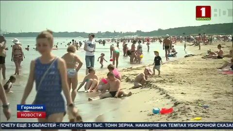 Купаются ли летом в калининграде