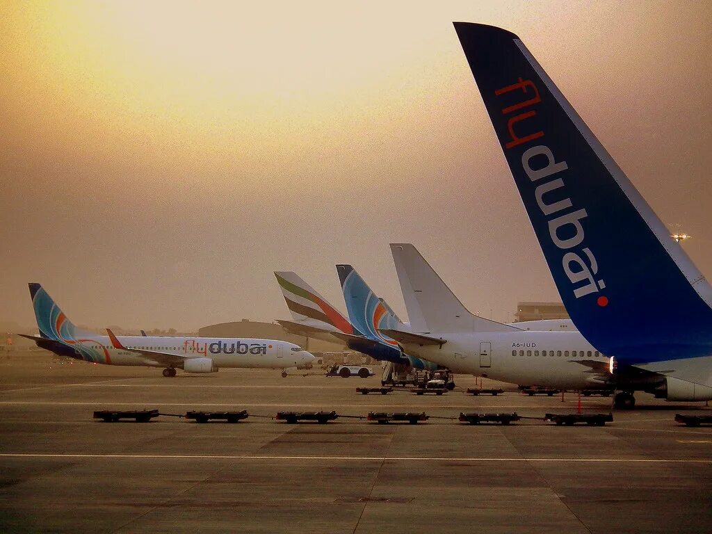 Авиабилеты купить flydubai. Fly Dubai Boeing 737. ОАЭ самолет flydubai. Самолеты авиакомпании Флай Дубай. Авиакомпания ОАЭ Флай Дубай.
