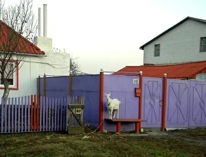 Малое городище новооскольский