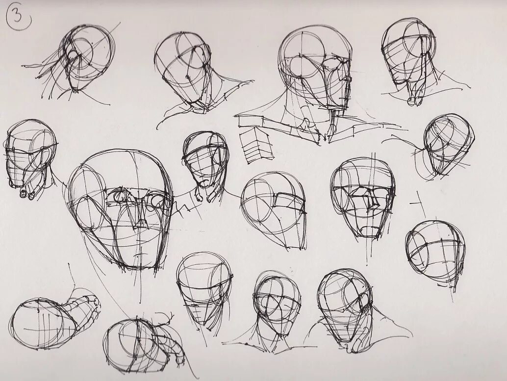 Head forms. Голова в разных ракурсах. Скетч головы. Голова человека в разных ракурсах. Анатомия головы человека для рисования.