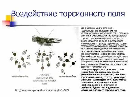 Торсионные поля что это