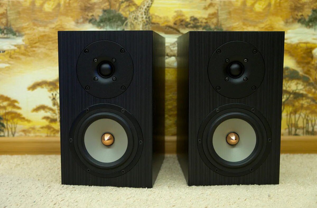 акустика клячина