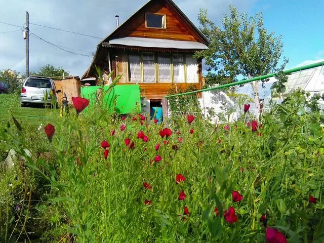 Купить Дачу В Миассе С Фото - Mixyfotos.ru