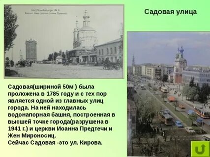 Садовая калуга 1