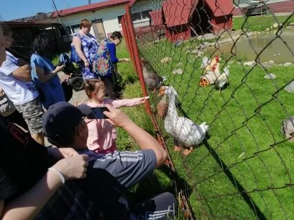 Страусиную ферму в деревне селявино