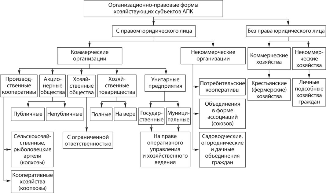 Классификация предприятий АПК по организационно-правовым формам. Основные организационные формы фирмы формы предприятий схема. Схема классификации организационно правовых форм хозяйствования. Схема организационно-правовые формы предприятий в РФ. К деловым организациям относятся