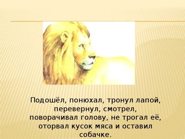 Лев и собачка толстой быль. Лев и собачка план. Лев и собачка толстой план. Лев и собачка 3 класс презентация.