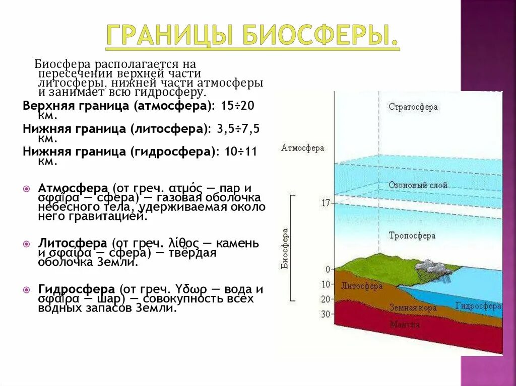 Можно ли считать завершенным процессом формирования биосферы. Биосфера границы биосферы. Границы биосферы 9 класс биология. Структура и границы биосферы схема. Слои биосферы.