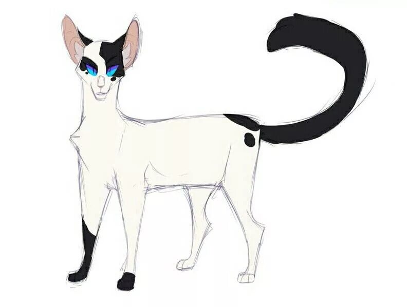 Коты воители songsteps кот. Коты воители songsteps. коты воители by songsteps. коты воители арты от songsteps. darktail коты воители.