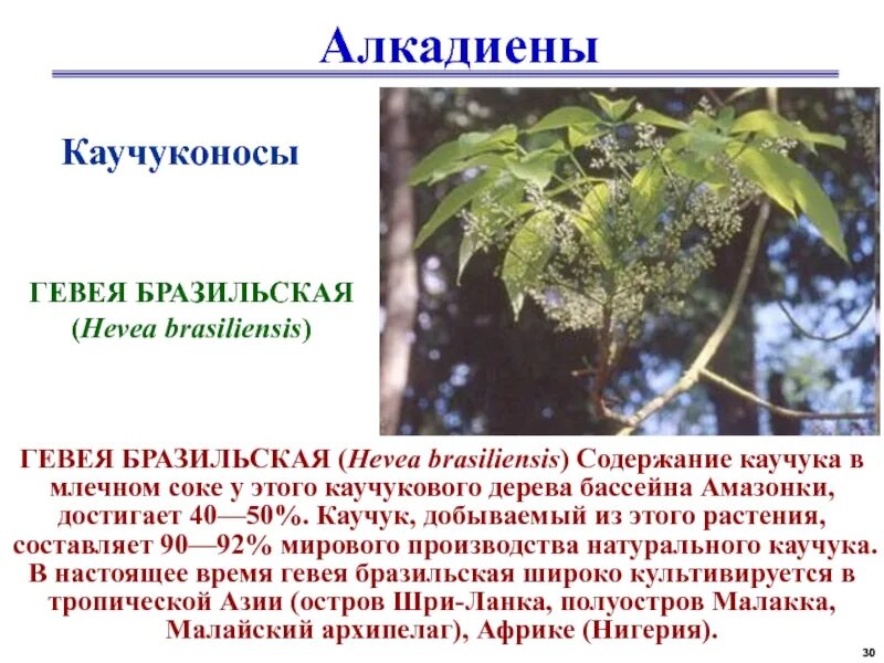 Содержание каучука
