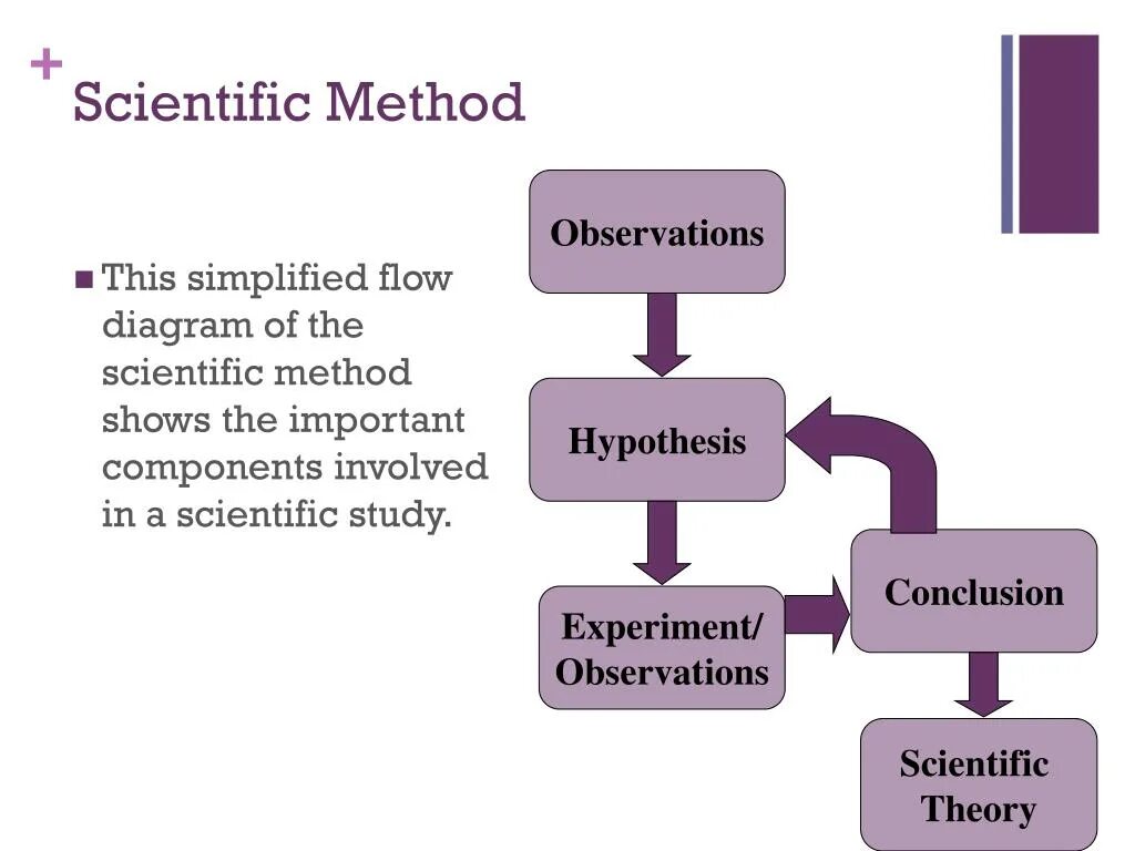 Scientific hypothesis картинки. Метод show. Scientific conclusion. Scientific method