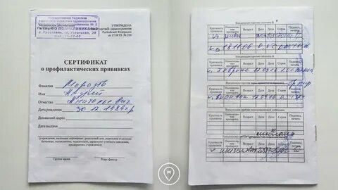 Выписка о прививках где взять взрослому