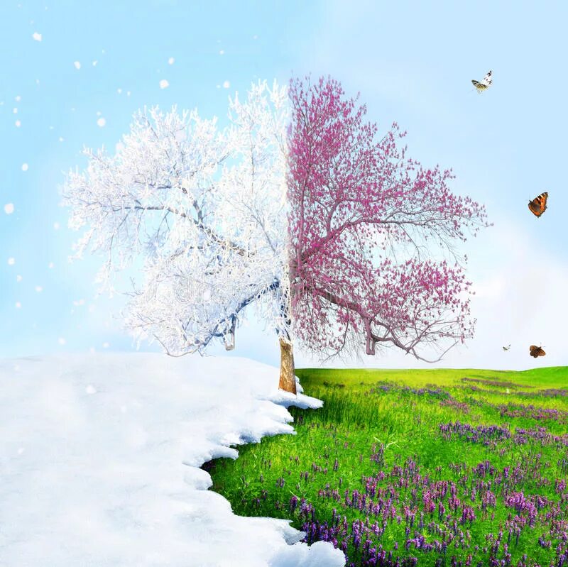 Spring is than winter. Зима Весна. Зима переходящая в весну. Переход зимы в весну. Зима лето.