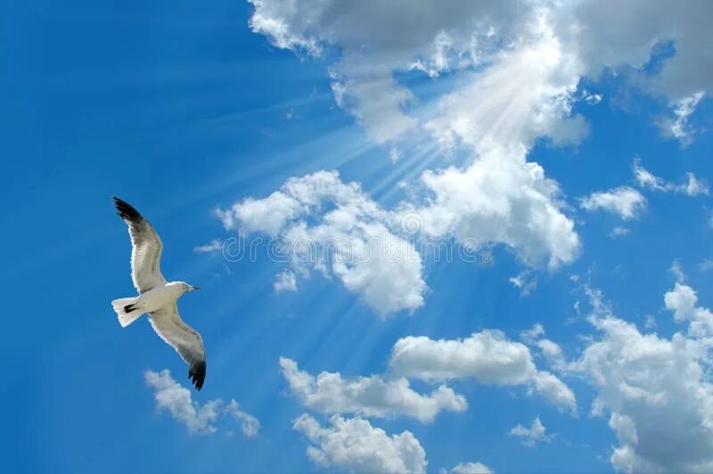 White clouds in blue sky stock photo. Image of blue, bright 28433322