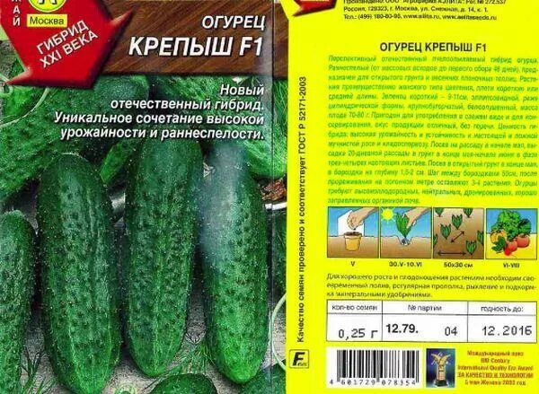 Сорт крепыш. Огурец крепыш корнишон f1. сорта огурцов крепыш. семена огурцов озорные крепыши. огурец сорта крепыш.