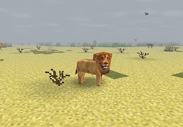Мод лев майнкрафт. Survivalcraft lion. сурвивал крафт животные. лев в майнкрафте мод. гиена survivalcraft.