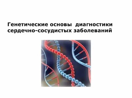 Тест сердечно сосудистая