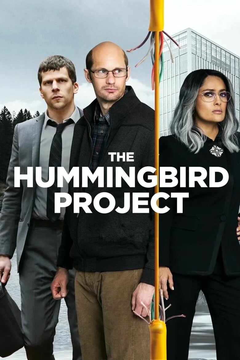 Операция колибри отзывы. The Hummingbird Project. Операция Колибри Постер.