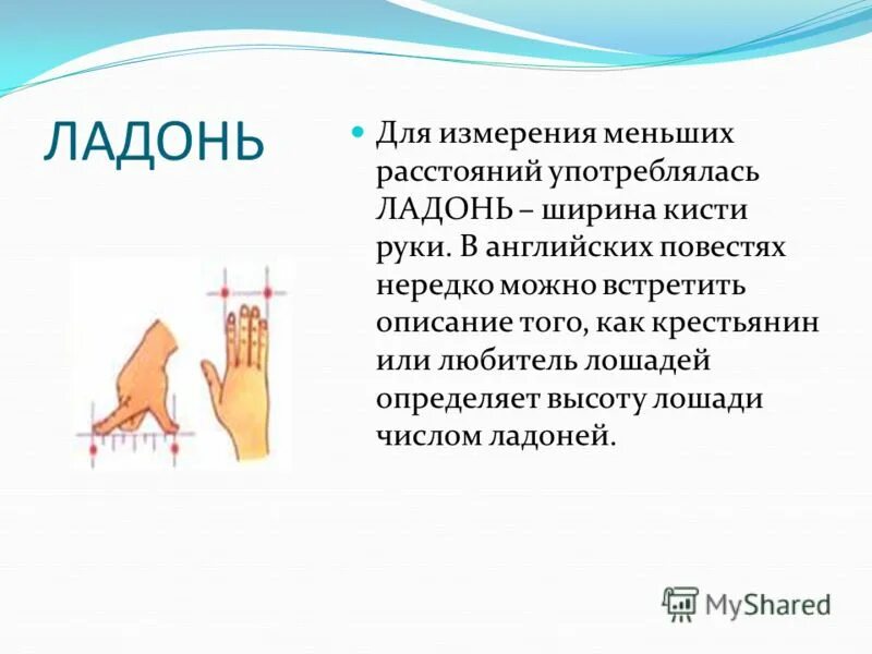 Старинные меры длины ладонь. Ладонь (единица измерения). Меры объема. Измерение ладони. Ладонь (единица измерения).