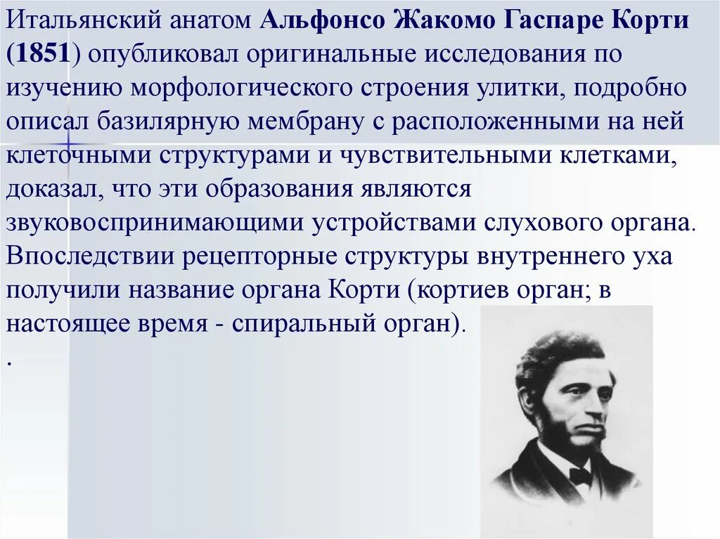 Песня анатом. Песня анатом. Песня анатом. Песня анатом. Мухин анатом.