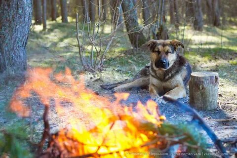 Я видел озеро
