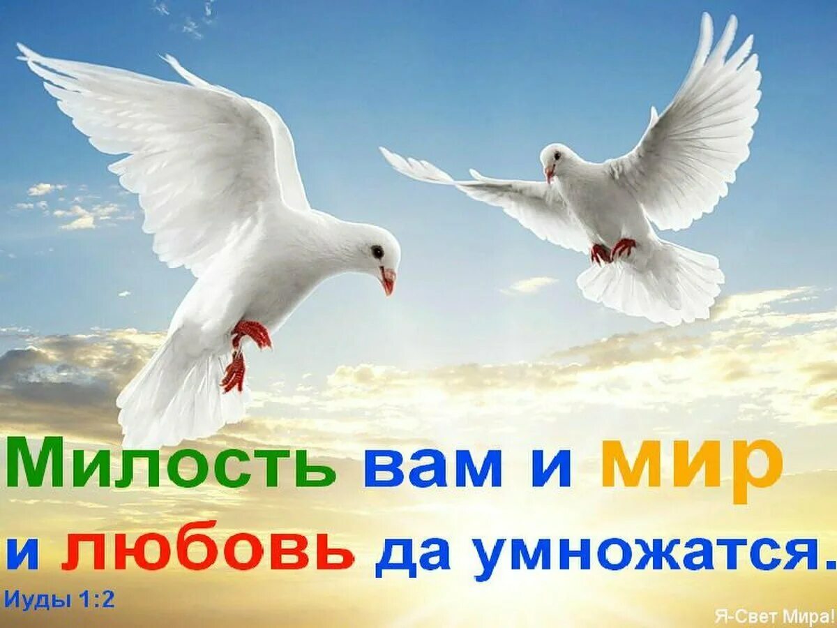 открытки с господом богом. ангел божий. божья рука. любви и божьей благодати. христианские пожелания с добрым утром.