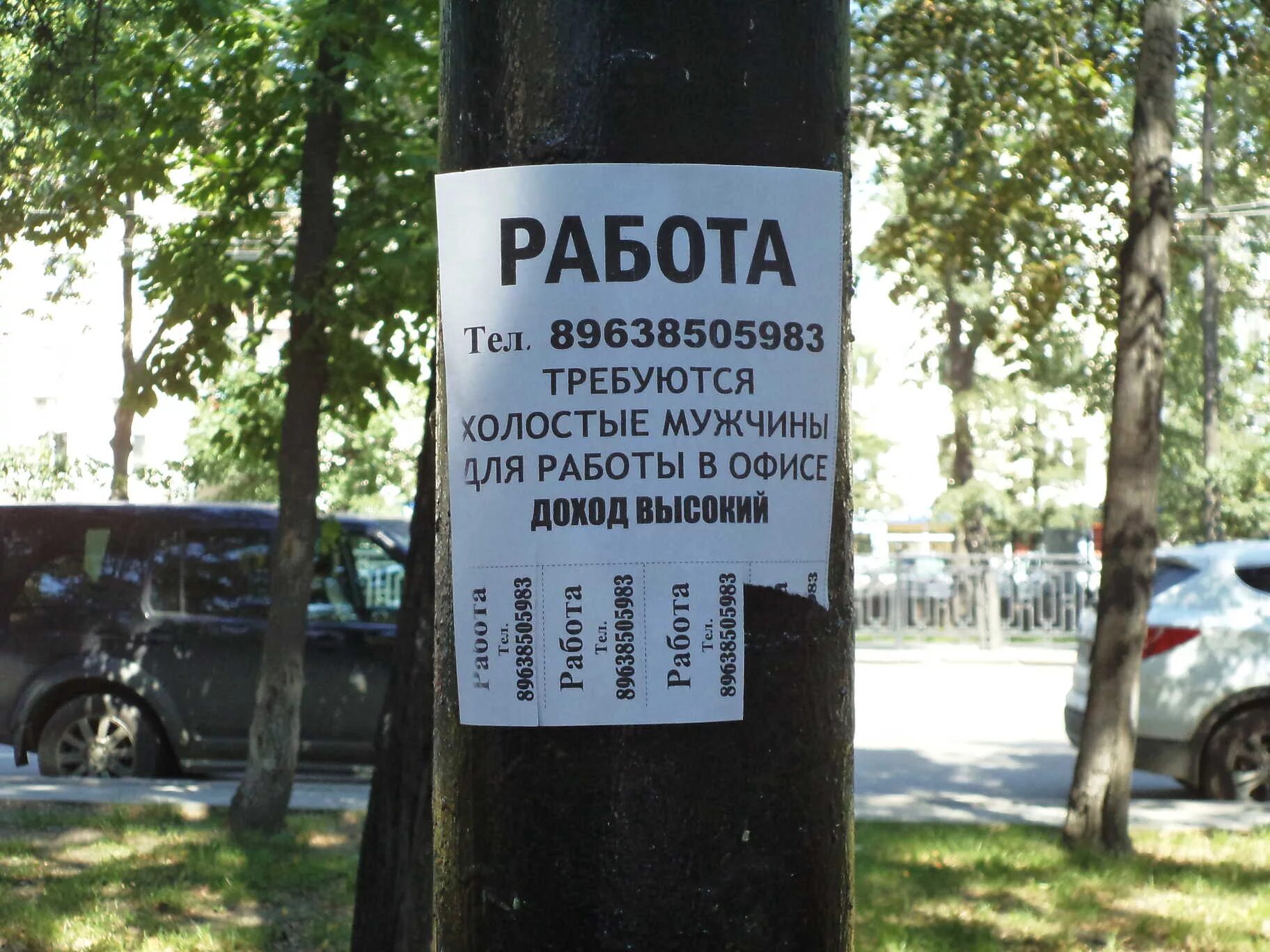 Листовка на столбе. Рекламный столб. Листовка на столбе. Рекламный столб. Рекламное объявление на столбе.